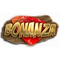 Bonanza Megaways